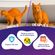 14002003_FELIWAY CLASSIC SPRAY 60ML 3